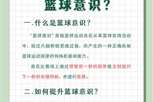 如何利用在线课程系统提升篮球技术:从理论到实践的全面指南